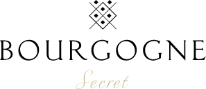 Sylius logo