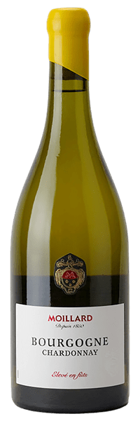 Maison Moillard - Bourgogne Chardonnay Elevé en Fûts 2023 Blanc