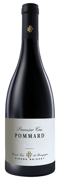 Maison Pierre Brisset - Pommard 1er Cru 2021 Rouge