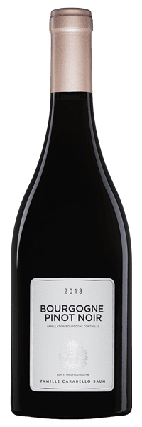 Château de Pommard - Bourgogne Pinot Noir 2013 Rouge