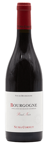 Numa Cornut - Bourgogne Pinot Noir 2022 Rouge