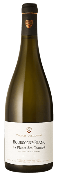 Domaine Thomas-Collardot - Bourgogne La Plante des Champs 2021 Blanc