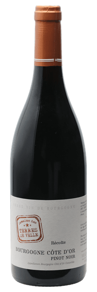 Domaine des Terres de Velle - Bourgogne Côte-d'Or Pinot Noir 2019 Rouge