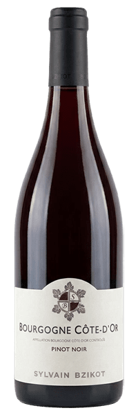 Domaine Bzikot - Bourgogne Côte-d'Or 2024 Rouge