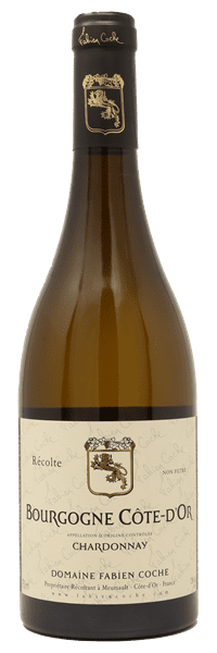 Domaine Fabien Coche - Bourgogne Côte-d'Or Chardonnay 2022 Blanc