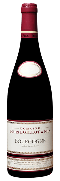 Domaine Louis Boillot - Bourgogne Pinot Noir 2019 Rouge