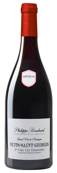 Philippe Bouchard - Nuits-Saint-Georges 1er Cru Les Damodes 2021 Rouge