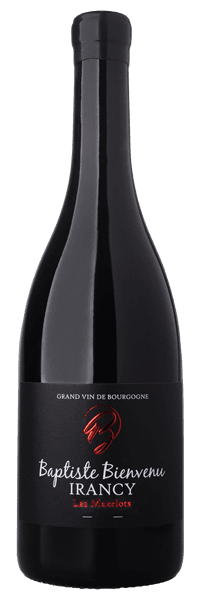 Baptiste Bienvenu - Irancy Les Mazelots 2021 Rouge