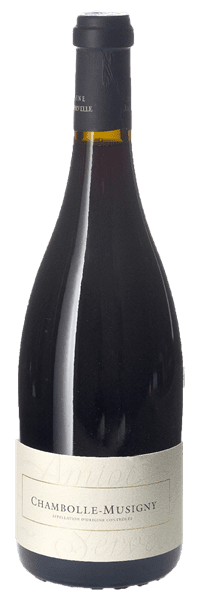 Domaine Amiot-Servelle - Chambolle-Musigny 2017 Rouge