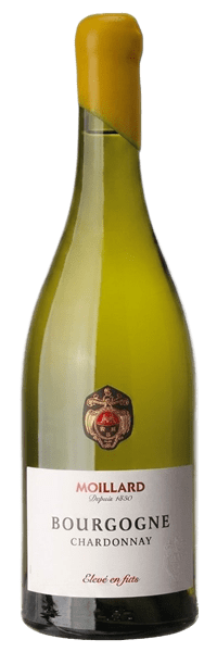 Maison Moillard - Bourgogne Chardonnay Fût de Chêne 2024 Blanc