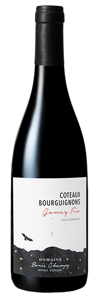 Domaine Boris Champy - Coteaux Bourguignons Gamay Fin 2022 Rouge