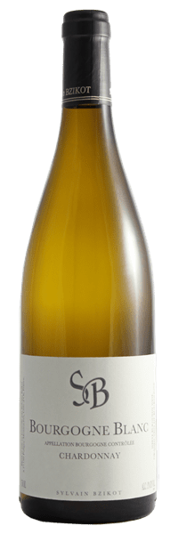 Domaine Bzikot - Bourgogne 2022 Blanc