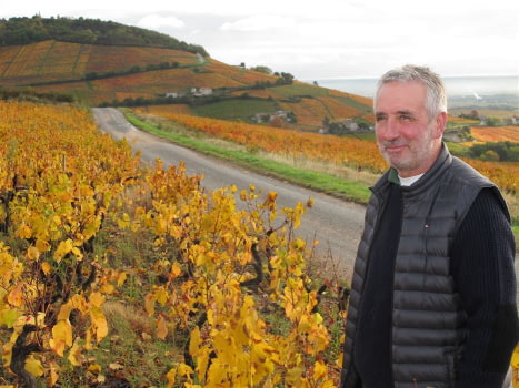 Domaine Laurent Martray