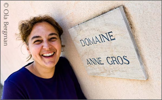Domaine Anne Gros