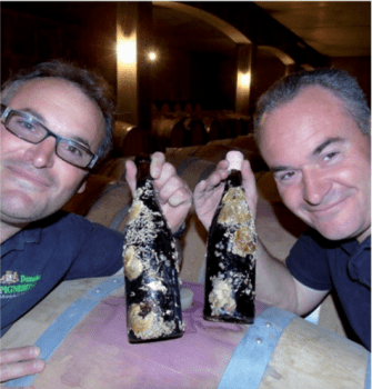 Domaine Pigneret et Fils