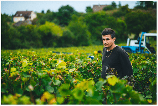 Domaine Vincent Dureuil-Janthial
