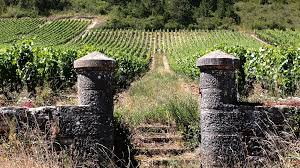 Domaine Laurent Roumier