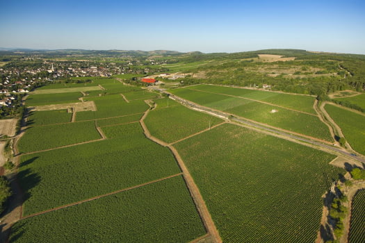 Domaine du Meix au Roy