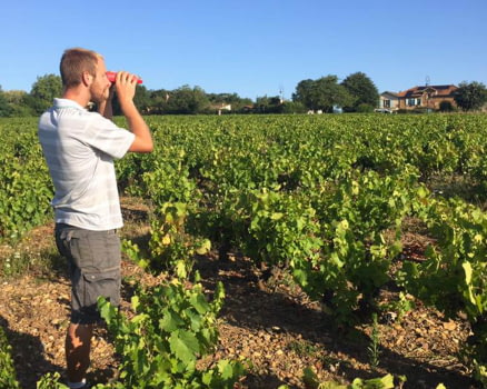 Domaine du Champ de la Croix