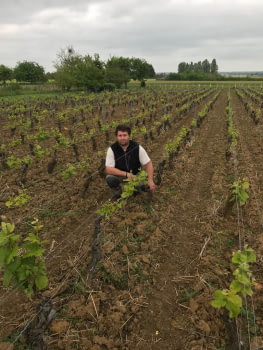 Domaine Guillaume Legou
