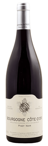 Domaine Bzikot - Bourgogne Côte-d'Or 2023 Rouge