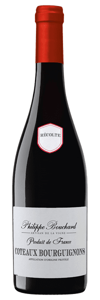 Philippe Bouchard - Côteaux Bourguignons 2023 Rouge