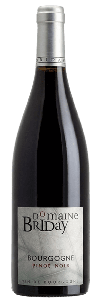 Domaine Michel Briday - Bourgogne Pinot Noir 2023 Rouge