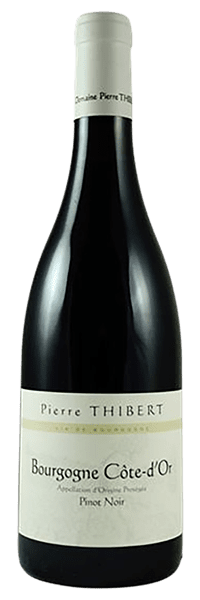 Domaine Pierre Thibert - Bourgogne Cote d'Or 2022 Rouge
