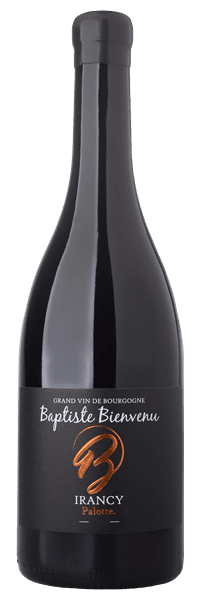 Baptiste Bienvenu - Irancy Palotte 2021 Rouge