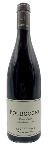 Domaine René Bouvier - Bourgogne 2020 Rouge