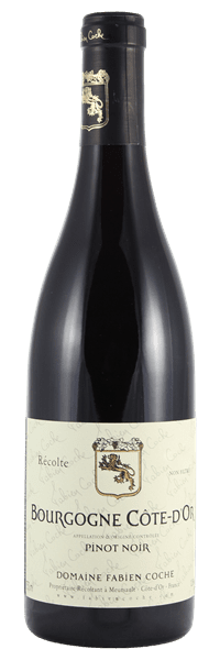 Domaine Fabien Coche - Bourgogne Côte-d'Or Pinot Noir 2022 Rouge