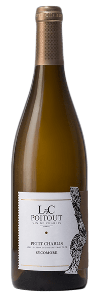 Domaine LC Poitout - Petit Chablis Sycomore 2023 Blanc