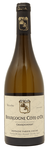 Domaine Fabien Coche - Bourgogne Côte-d'Or Chardonnay 2023 Blanc
