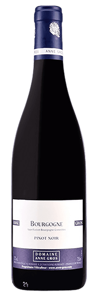Domaine Anne Gros - Bourgogne Pinot Noir 2021 Rouge