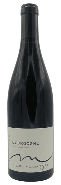 Domaine Lucien Muzard et Fils - Bourgogne Pinot Noir 2023 Rouge