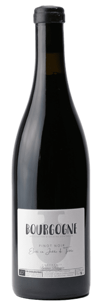 Bruno Dangin - Bourgogne Elevé en Jarre de Terre 2022 Rouge