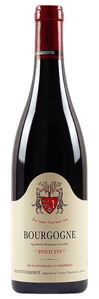 Domaine Geantet-Pansiot - Bourgogne Pinot Noir 2022 Rouge