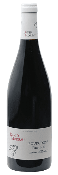 Domaine David Moreau - Bourgogne Pinot Noir Sous Montot 2022 Rouge