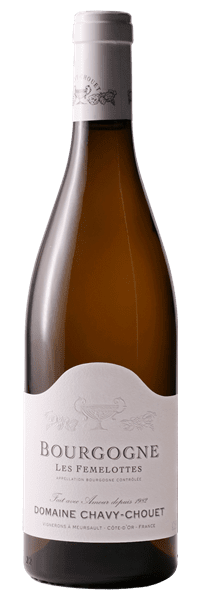 Domaine Chavy-Chouet - Bourgogne Les Femelottes 2021 Blanc