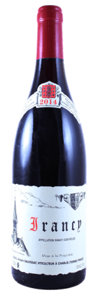 Domaine Vincent Dauvissat - Irancy 2014 Rouge