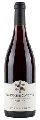 Domaine Bzikot - Bourgogne Côte-d'Or 2024 Rouge