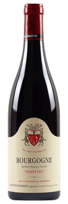 Domaine Geantet-Pansiot - Bourgogne Pinot Noir 2022 Rouge