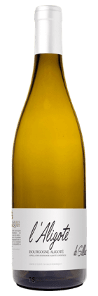 Domaine Henri et Gilles Remoriquet - Bourgogne Aligoté 2021 Blanc