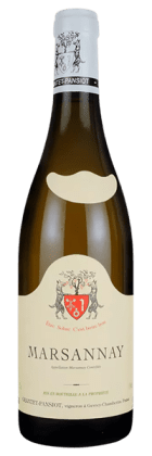 Domaine Geantet-Pansiot - Marsannay 2021 Blanc
