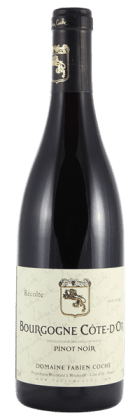 Domaine Fabien Coche - Bourgogne Côte-d'Or Pinot Noir 2023 Rouge