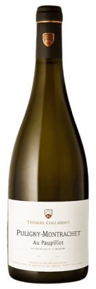 Domaine Thomas-Collardot - Puligny-Montrachet Au Paupillot 2021 Blanc