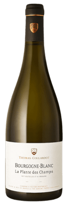 Domaine Thomas-Collardot - Bourgogne La Plante des Champs 2021 Blanc