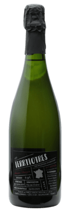 Bruno Dangin - Les Territoires 3ème Edition Extra-Brut Blanc