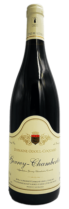 Domaine Odoul-Coquard - Gevrey-Chambertin 2021 Rouge