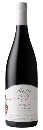 Domaine Mestre Père et Fils - Santenay 1er Cru 2022 Rouge